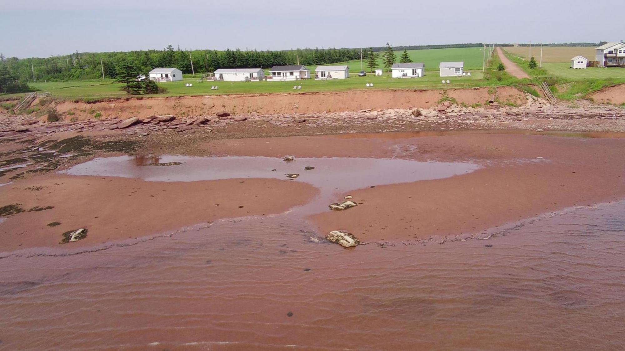Cottages On Pei-Oceanfront Bedeque Buitenkant foto
